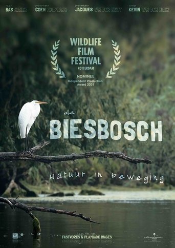 De Biesbosch - Natuur in beweging poster