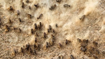 China's Wild Secrets (2025- )