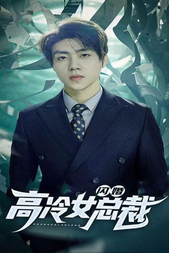 闪婚高冷女总裁 poster