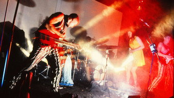 Butthole Surfers: The Hole Truth and Nothing Butt backdrop 5