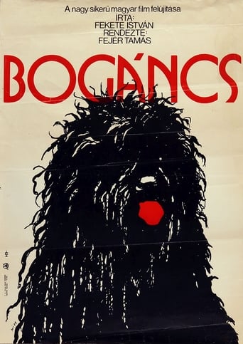 Poster of Bogáncs