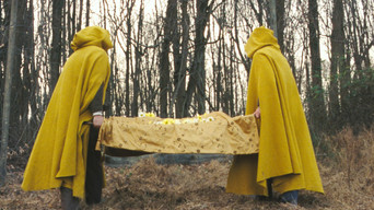 #41 Таємничий ліс