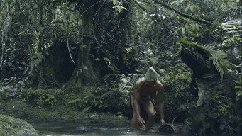 Wailings in the Forest (2016)