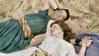 #16 David and Bathsheba
