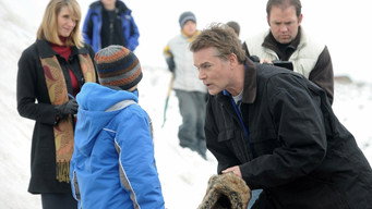 Сніговики (2010)