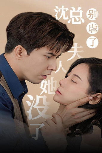 沈总别虐了，夫人她没了 poster