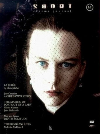 Vincent: The Junkie Chronicles