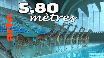 5 meters 80 (2012)