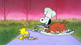 A Charlie Brown Thanksgiving backdrop 2