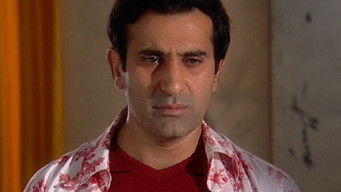 Episode 196 — Raj and Ragini Spend Time