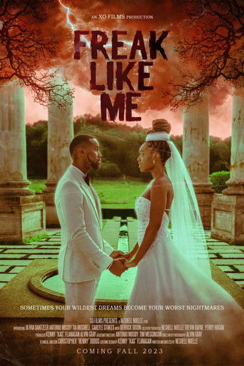 Freak Like Me poster