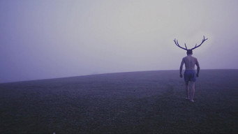 #4 Deer Boy