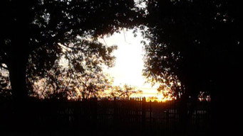 Garden Sanctuary (2026)
