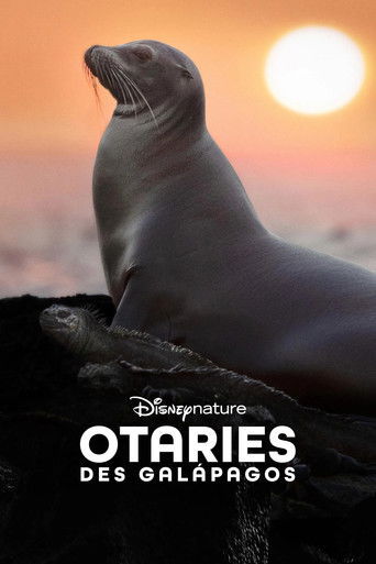 Otaries des Gal&aacute;pagos (2025)