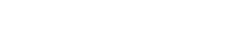 Q-Force logo