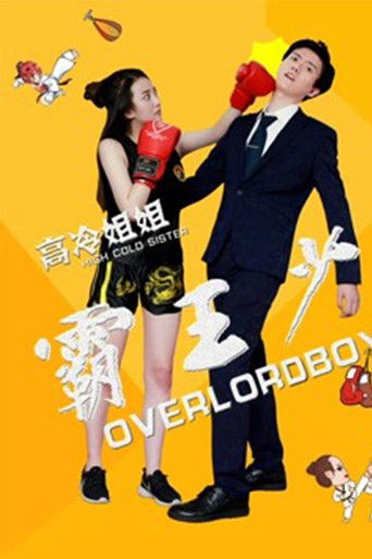 高冷姐姐霸王少 poster