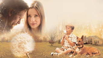 #6 Like Dandelion Dust