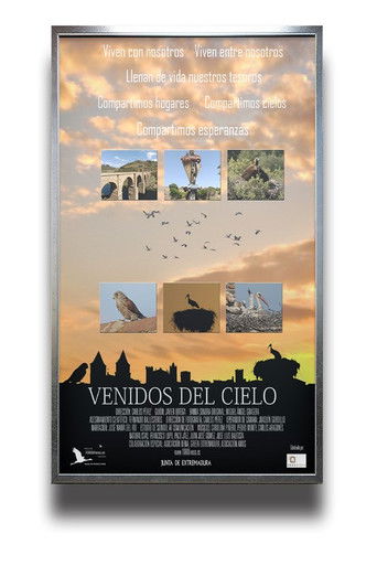 Venidos Del Cielo (公開年不明年)のポスター画像 - FindKey