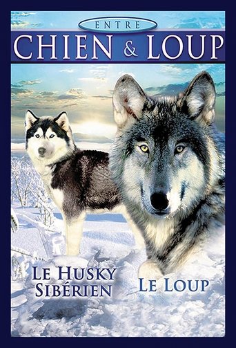 Between Dog and Wolf (2021)