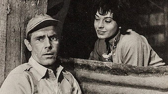 The Devil's Bedroom (1964)