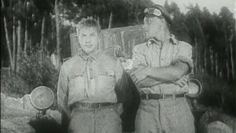 Якось улітку (1936)