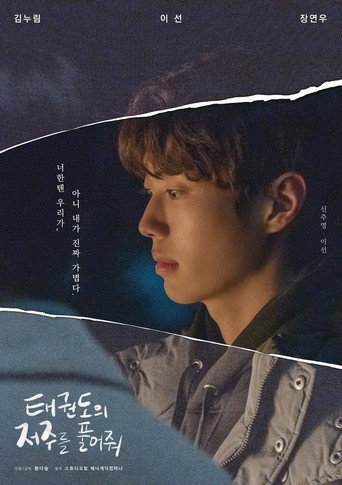 태권도의 저주를 풀어줘 — Pósters 14