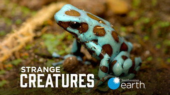 Strange Creatures (2015- )