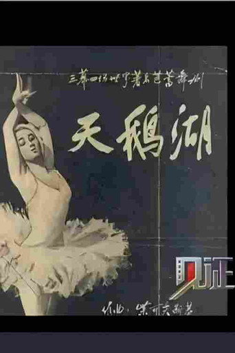 见证&middot;影像志：芭蕾 (2010)