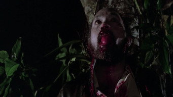Wolf (1981)