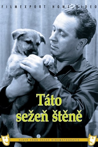 Poster för Táto sežeň štěně