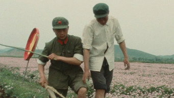 How Yukong Moved the Mountains (1976)