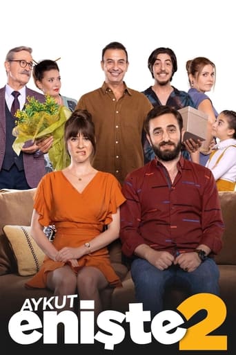 Poster of Aykut Enişte 2