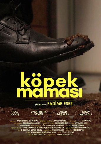 Köpek Maması