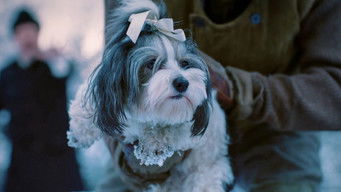 Episode 17 — Episode 17