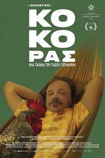 Rooster poster