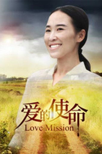 爱的使命 poster