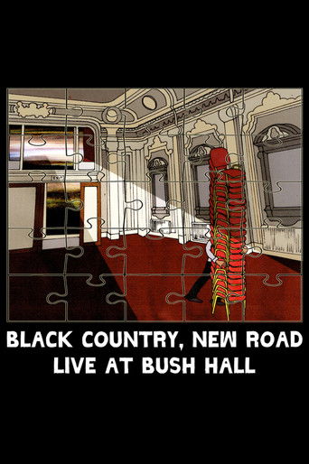 Black Country, New Road - &ldquo;Live at Bush Hall&rdquo; (2023)