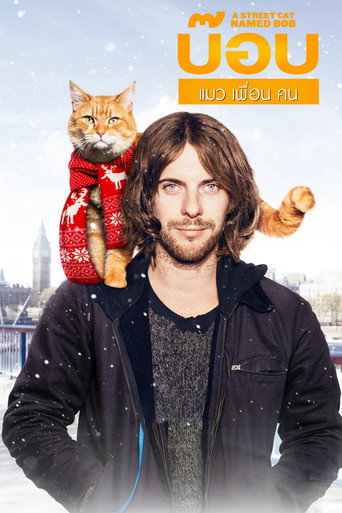 โปสเตอร์ บ๊อบ แมว เพื่อน คน