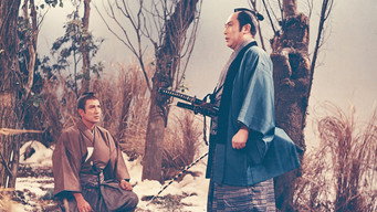Життя квітки (1963)