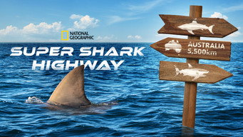 Super Shark Highway (2024- )