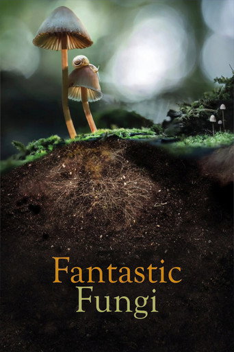 Fantastic Fungi