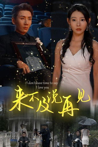 来不及说再见 poster