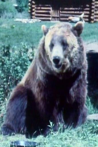 Image of Bozo the Bear