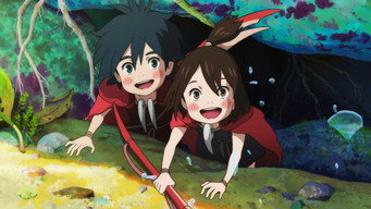 The Modest Heroes of Studio Ponoc (2019)