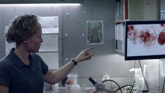Кривавий льодовик (2013)