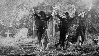 #6 The Undead