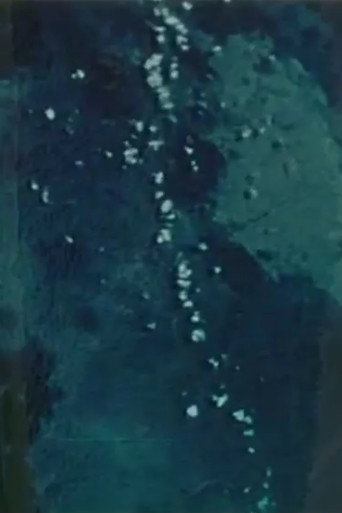 Poster film A Nickel in a Fountain