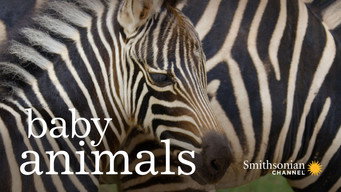 Baby Animals (2015-2018)