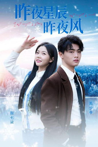 昨夜星辰昨夜风 poster