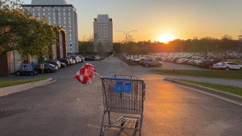 Shopping Spree (2026)